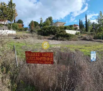 Αγροτεμάχιο 500τ.μ. προς πώληση φωτογραφία 4592383