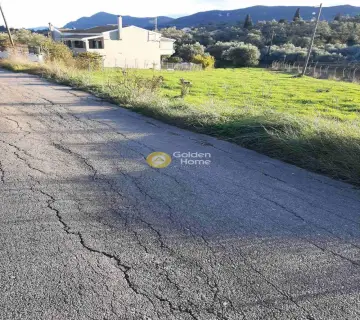 Residential 1826m<sup>2</sup> for sale photo 4592281