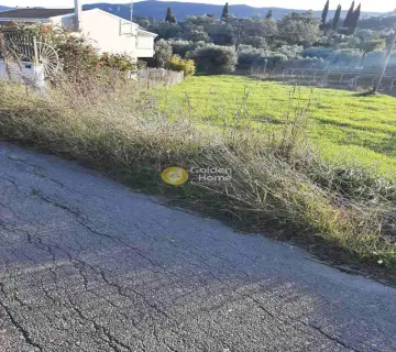 Residential 1826m<sup>2</sup> for sale photo 4592294