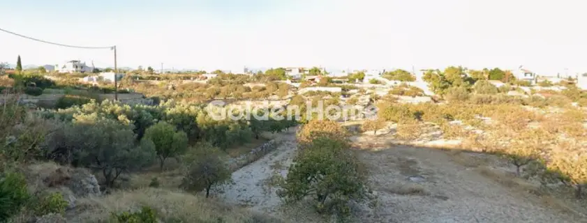 Residential 2830m<sup>2</sup> for sale photo 5555494