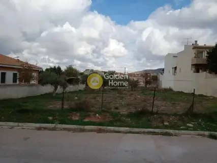 Residential 805m<sup>2</sup> for sale photo 2