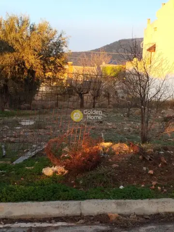 Οικιστικό 805τ.μ. προς πώληση φωτογραφία 1