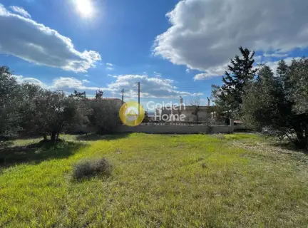 Residential 1000m<sup>2</sup> for sale photo 1