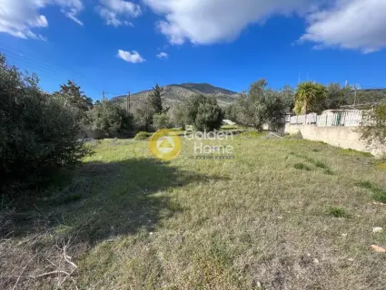 Residential 1000m<sup>2</sup> for sale photo 4