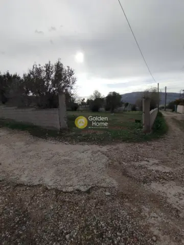 Residential 1000m<sup>2</sup> for sale photo 3