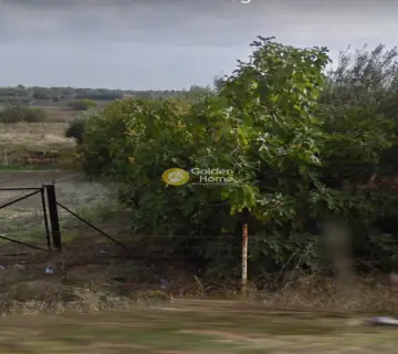 Residential 700m<sup>2</sup> for sale photo 4593486