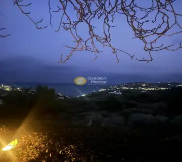Οικιστικό 2500τ.μ. προς πώληση φωτογραφία 2