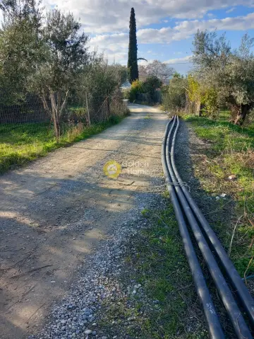 Residential 7195m<sup>2</sup> for sale photo 3