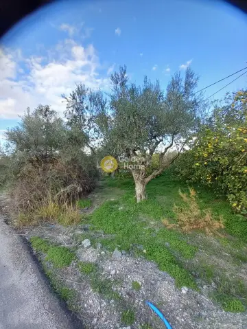 Residential 7195m<sup>2</sup> for sale photo 4
