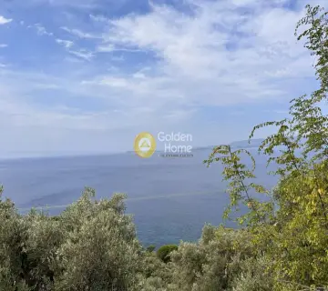Οικιστικό 6500τ.μ. προς πώληση φωτογραφία 4596550