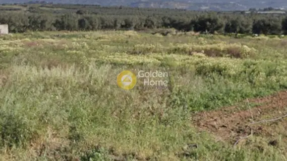 Professional Plot 4512m<sup>2</sup> for sale photo 4745198