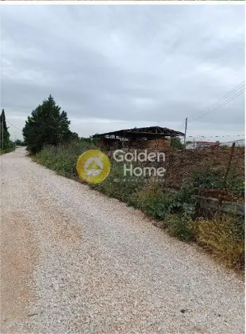 Parcel 9000m<sup>2</sup> for sale photo 4595834