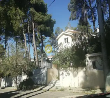 Μεζονέτα Ανεξάρτητη 207τ.μ. προς πώληση φωτογραφία 4603104
