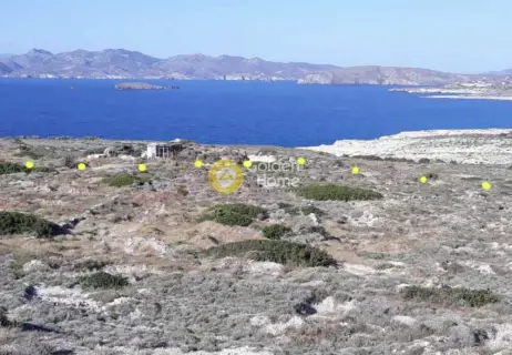 Αγροτεμάχιο 10650τ.μ. προς πώληση φωτογραφία 3