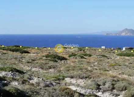 Αγροτεμάχιο 10650τ.μ. προς πώληση φωτογραφία 4