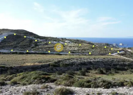 Αγροτεμάχιο 10650τ.μ. προς πώληση φωτογραφία 5