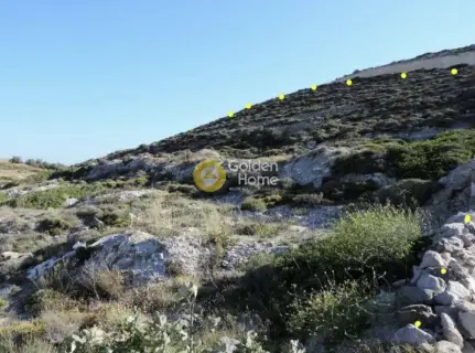Αγροτεμάχιο 10650τ.μ. προς πώληση φωτογραφία 6