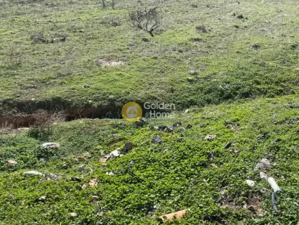 Parcel 13000m<sup>2</sup> for sale photo 10