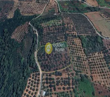 Parcel 9800m<sup>2</sup> for sale photo 4602843