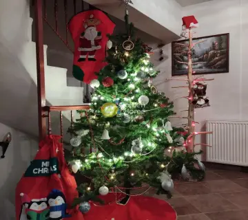 Οικία 459τ.μ. προς πώληση φωτογραφία 6