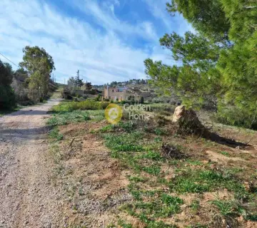Residential 4123m<sup>2</sup> for sale photo 4638657