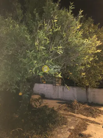 Επαγγελ. Οικόπεδο 785τ.μ. προς ενοικίαση φωτογραφία 22