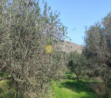 Residential 2225m<sup>2</sup> for sale photo 15