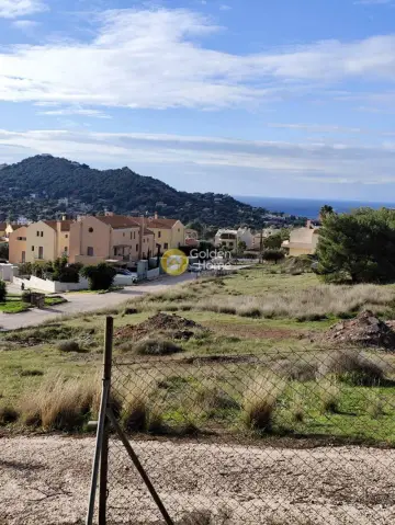 Residential 1050m<sup>2</sup> for sale photo 3