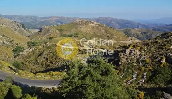 Golden Home Property Image