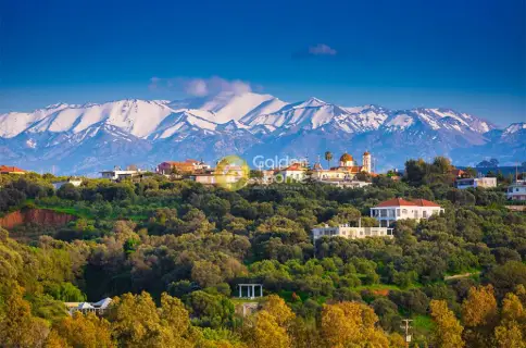 Golden Home Property Image