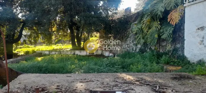 Floor Apartment 185m<sup>2</sup> for sale photo 13