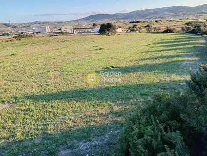 Οικιστικό 7109τ.μ. προς πώληση φωτογραφία 6