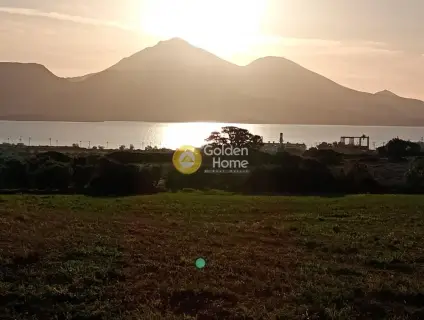 Οικιστικό 7109τ.μ. προς πώληση φωτογραφία 5