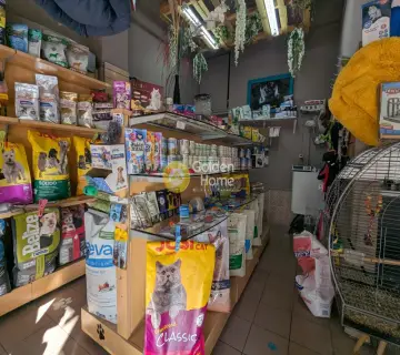 Golden Home Property Image