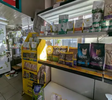 Golden Home Property Image