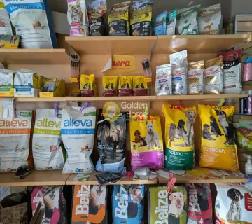 Golden Home Property Image