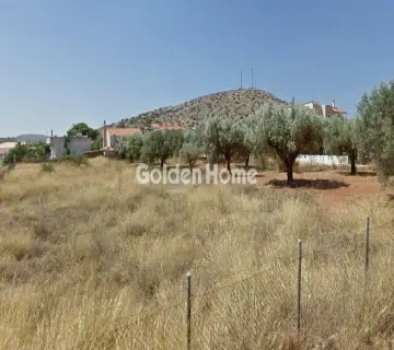 Parcel 5077m<sup>2</sup> for sale photo 2