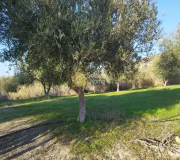 Residential 2541m<sup>2</sup> for sale photo 2