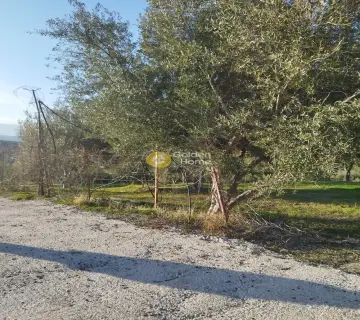 Residential 2541m<sup>2</sup> for sale photo 3
