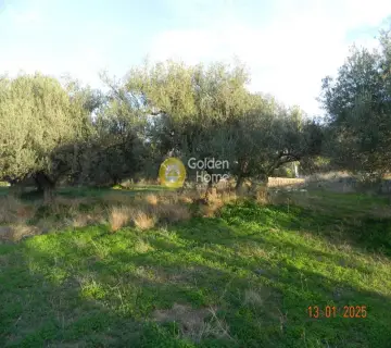 Parcel 1061m<sup>2</sup> for sale photo 2