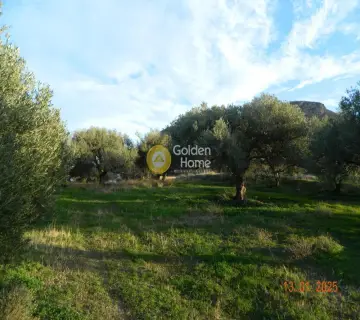 Parcel 1061m<sup>2</sup> for sale photo 4