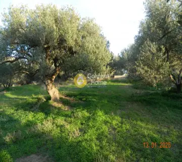 Parcel 1061m<sup>2</sup> for sale photo 6