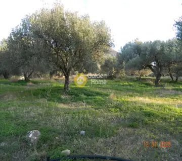Parcel 1061m<sup>2</sup> for sale photo 8