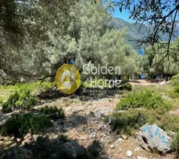Residential 7146m<sup>2</sup> for sale photo 9