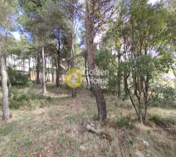 Οικιστικό 800τ.μ. προς πώληση φωτογραφία 1