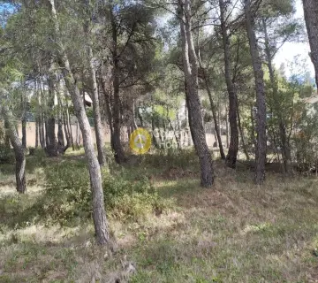 Οικιστικό 800τ.μ. προς πώληση φωτογραφία 4