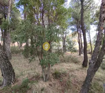 Οικιστικό 800τ.μ. προς πώληση φωτογραφία 3