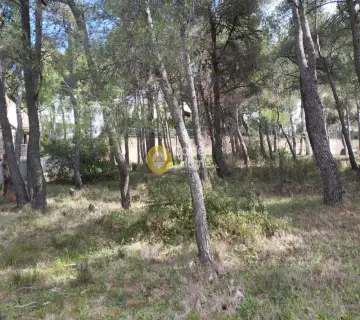 Οικιστικό 800τ.μ. προς πώληση φωτογραφία 7