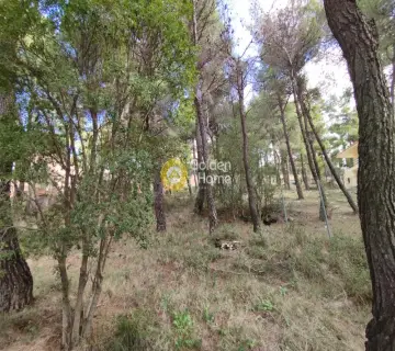 Οικιστικό 800τ.μ. προς πώληση φωτογραφία 6