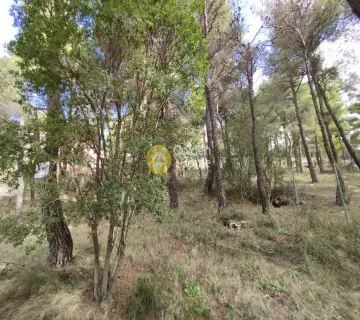 Οικιστικό 800τ.μ. προς πώληση φωτογραφία 5